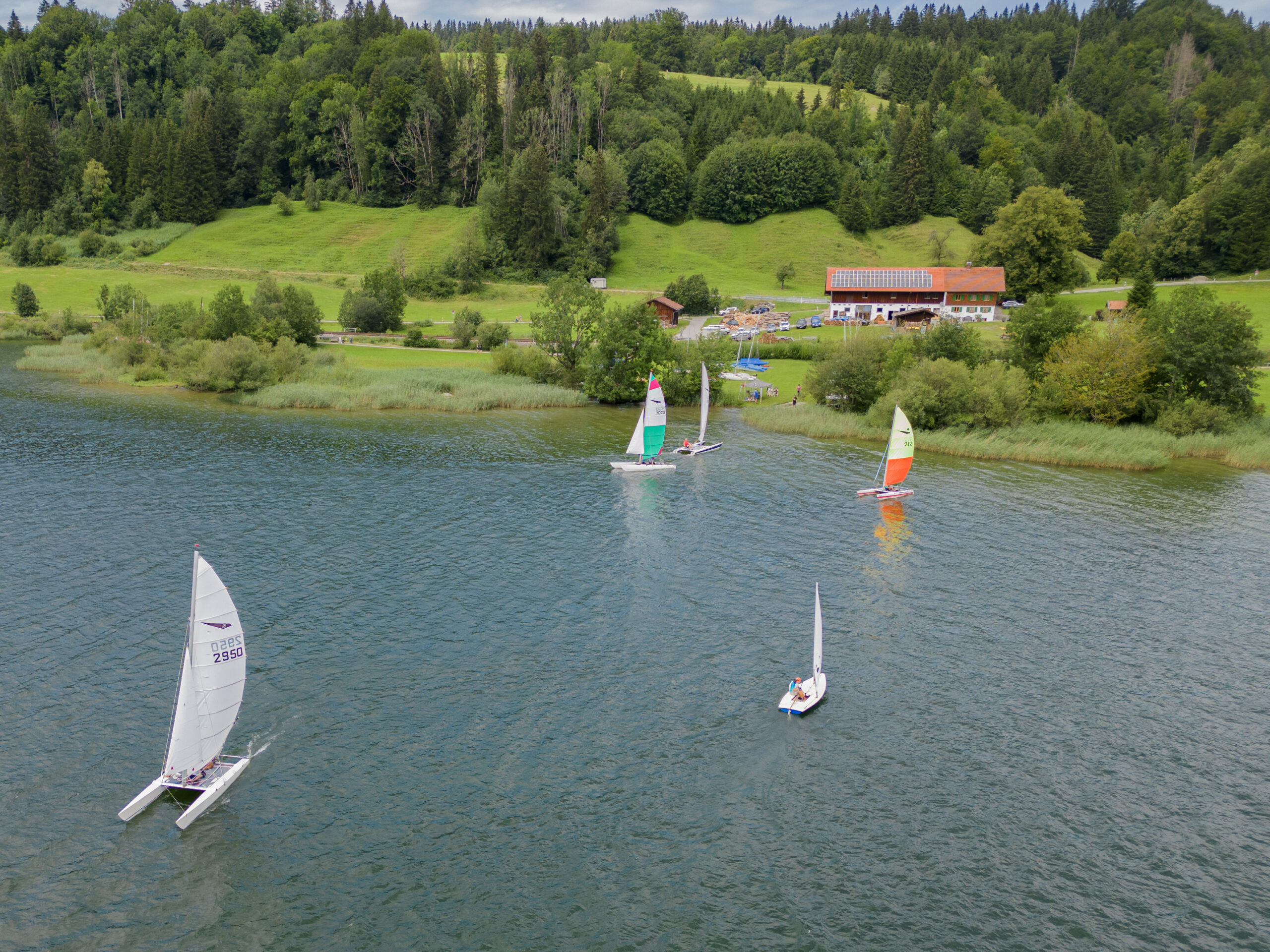 Beschreibung des Bildes